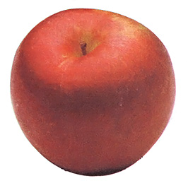Cider Apples of Renown Image